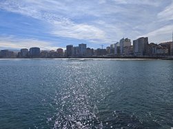 IMG_20250223_130922.jpg