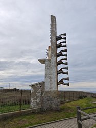 IMG_20250223_142658.jpg