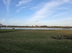 20250223_172633.jpg