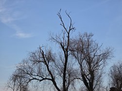 20250223_172839.jpg
