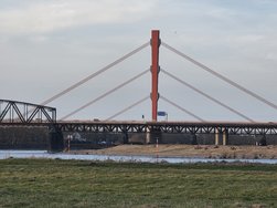 20250223_173002.jpg