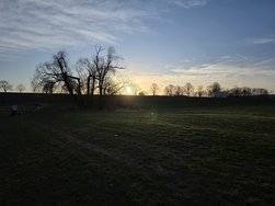 20250223_173105.jpg