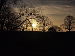 20250223_173121.jpg