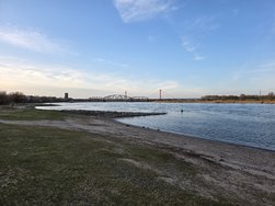 20250223_173239.jpg