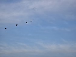20250223_174357.jpg