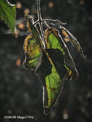 IMG_20250223_185850.jpg