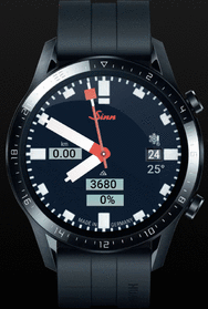 WFXSINN1gt2_animation.gif
