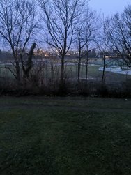 IMG_20250224_065003.jpg