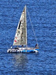 IMG_20250223_125308.jpg