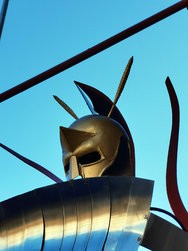 IMG_20250222_090842.jpg