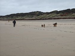 IMG_20250225_084812.jpg