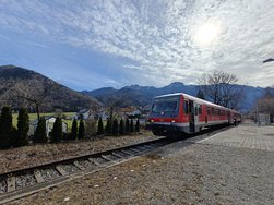 IMG_20250225_120728.jpg