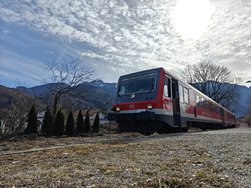IMG_20250225_120655.jpg