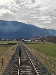 IMG20250225113101.jpg