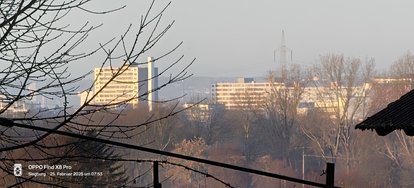 IMG20250225075312.jpg