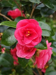 IMG_20250225_124327.jpg
