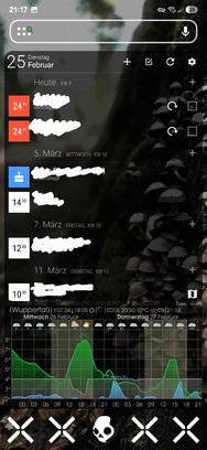 Screenshot_20250225_211706_Nova Launcher.jpg