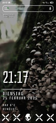 Screenshot_20250225_211703_Nova Launcher.jpg