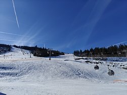 IMG20250222113903.jpg