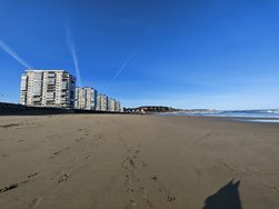 IMG_20250226_093728.jpg