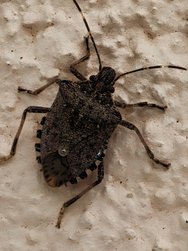 IMG20250226114810-EDIT.jpg