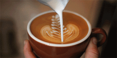 coffee-56 (1).gif