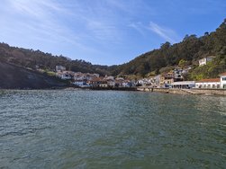 IMG_20250226_144034.jpg
