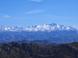 IMG_20250226_154842.jpg