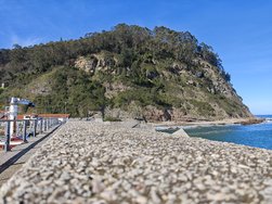 IMG_20250226_143816.jpg