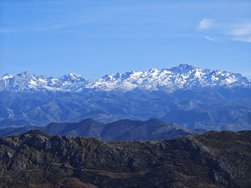 IMG_20250226_161052_1.jpg