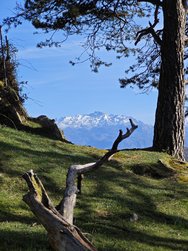 IMG_20250226_160702.jpg