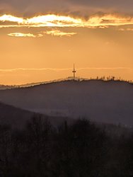 PXL_20250226_162924657.jpg