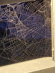 20250224_180619.jpg