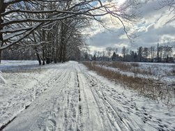 20250214_130027.jpg