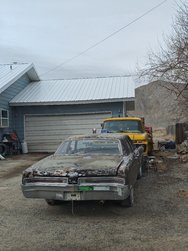 IMG_20250215_125942.jpg