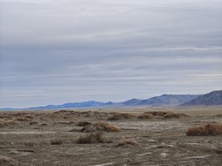 IMG_20250215_120134.jpg