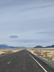IMG_20250215_112727.jpg