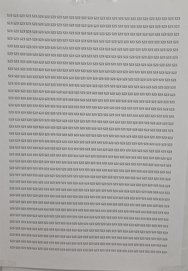 20250227_105117.jpg