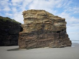 IMG_20250227_100821.jpg