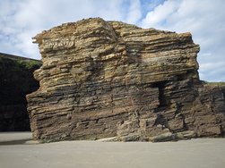 IMG_20250227_101248.jpg