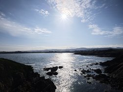 IMG_20250227_104125.jpg