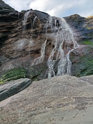 IMG_20250227_101528.jpg