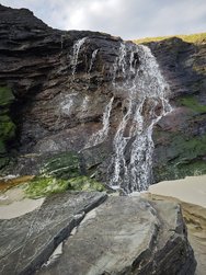 IMG_20250227_101503.jpg