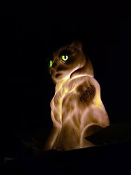 IMG_20250224_205431.jpg