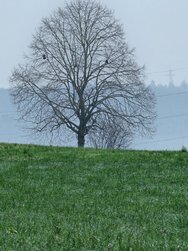 20250216_084955.jpg