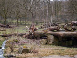 20250227_170559.jpg