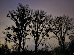 20250125_180535.jpg
