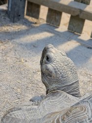 PXL_20250201_125123790.PORTRAIT.jpg