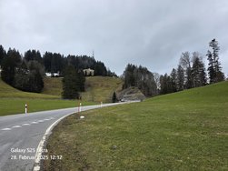 20250228_121209.jpg