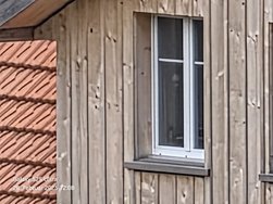 20250228_120807.jpg